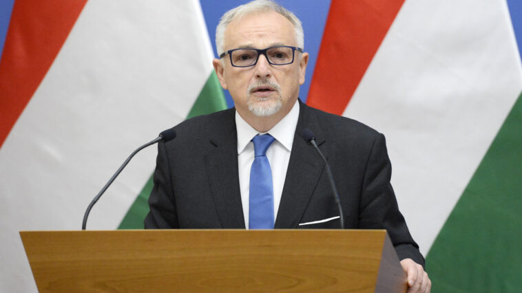 Márki-Zay támogatná Hernádi Zsolt kiadatását Horvátországnak