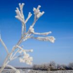 Havas eső és hideg lesz, hógolyózásra ne készüljünk