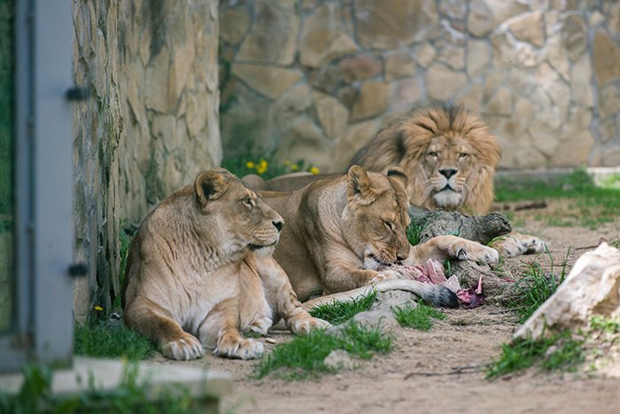 Több mint tízezer gyermek látogatott el a pécsi állatkert természettudományos élményközpontjába