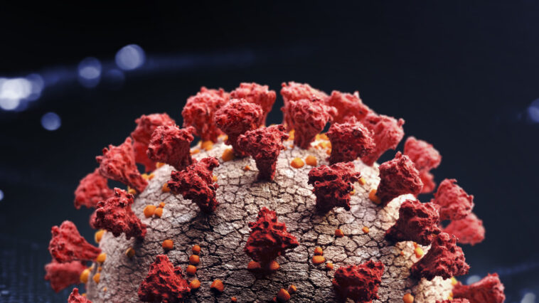 A szupervariáns ámokfutása zajlik, jönnek az áttöréses fertőzések, egyetlen dolgot tehetünk