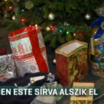 Minden este sírva alszik el a kisfiú, akinek édesanyja szenteste halt meg a Soroksári úti balesetben