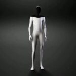 A Tesla botok egyedi személyiséggel rendelkező társakká válhatnak Musk szerint