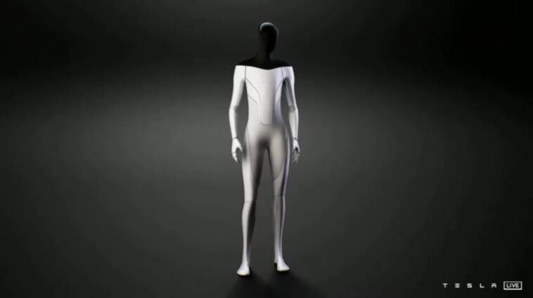 A Tesla botok egyedi személyiséggel rendelkező társakká válhatnak Musk szerint