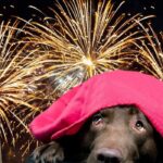 Petíciót nyújtottak be a petárdák és tűzijátékok betiltásáért Ukrajnában