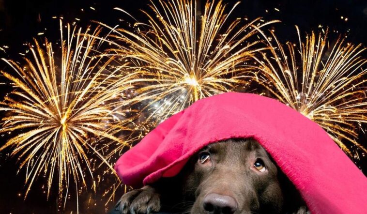 Petíciót nyújtottak be a petárdák és tűzijátékok betiltásáért Ukrajnában