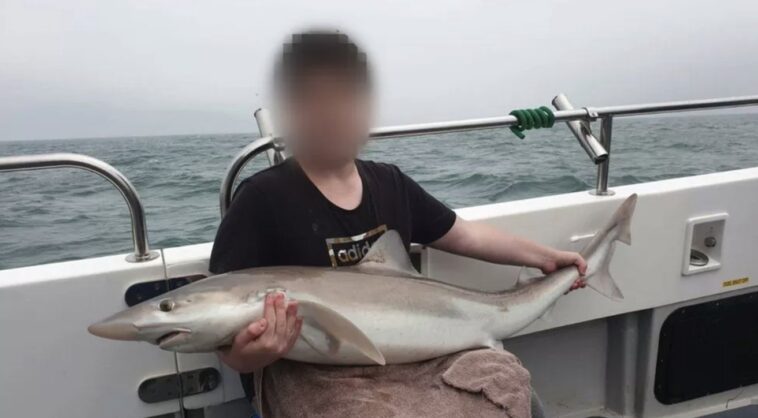 Kényszergyógykezelésre ítélték a brit hekkert, aki klipeket szivárogtatott ki a készülő GTA-ból