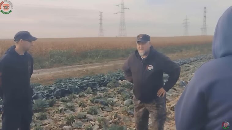 Budapest környéki gazdákon gázol át a kínai óriáscég