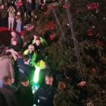 Emberekre dőlt egy 20 méteres karácsonyfa Belgiumban, egy nő meghalt