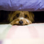 Magyarok millióinak a lakásügyébe nyúlt bele a kormány: ilyen még nem volt, ami márciusban jön