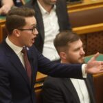 A Momentum külön közleményben tudatta, hogy Bedő Dávid szeretne bokszolni egy megafonossal