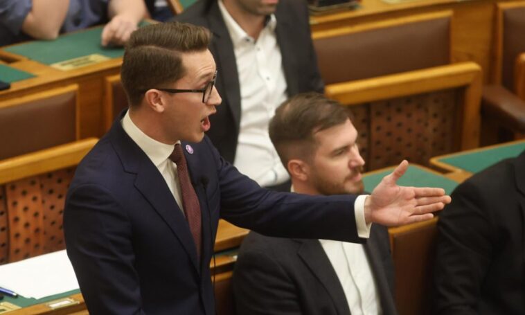 A Momentum külön közleményben tudatta, hogy Bedő Dávid szeretne bokszolni egy megafonossal