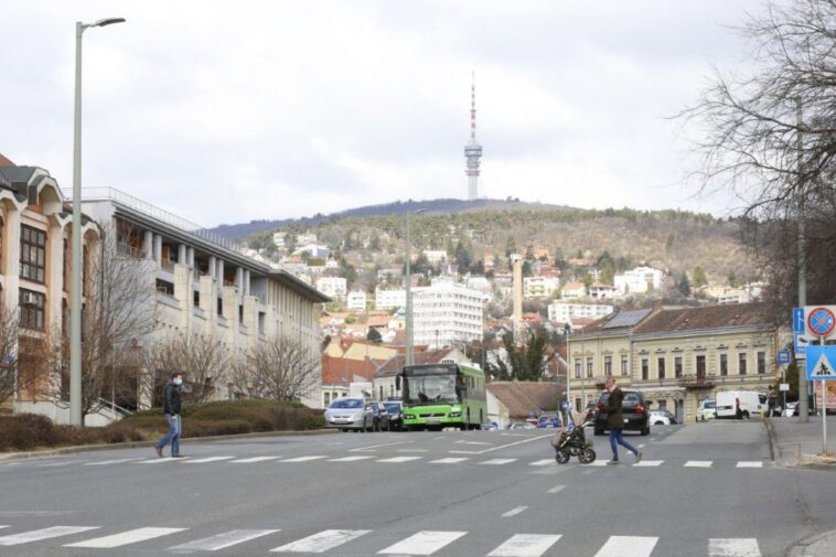 Csaknem egymilliárd forintba kerülnek a pécsi zebrák