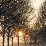 Ködös hajnal, majd többórás napsütés várható a héten