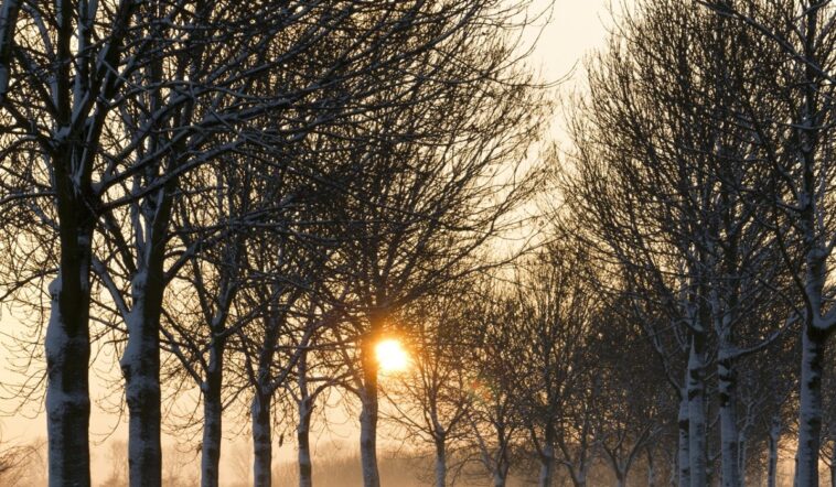 Ködös hajnal, majd többórás napsütés várható a héten