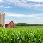 A magyar gazdáknak fontos ukrajnai bejelentéseket tett az Európai Bizottság