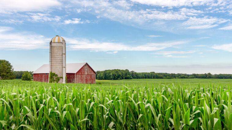 A magyar gazdáknak fontos ukrajnai bejelentéseket tett az Európai Bizottság