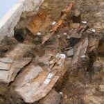 Teljes fegyverzetű, avar harcos maradványait tárták fel a debreceni Déri Múzeum régészei