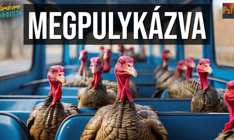 A BKK vezére megpulykázta az utasokat – Hardcore Hobbista