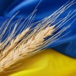 Negyven tonna GMO-val szennyezett ukrán vetőmagot foglalt le a Nébih