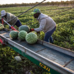 Íme a számok: ennyi bevándorló él pontosan Magyarországon és az EU-ban