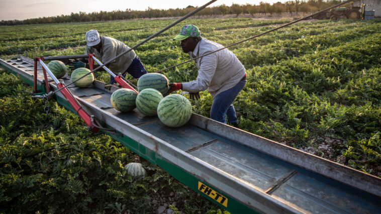 Íme a számok: ennyi bevándorló él pontosan Magyarországon és az EU-ban