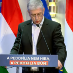 Gyurcsány Orbánértékelőt tartott: szörnyek kormányoznak és Orbán gyerekeket erőszakol