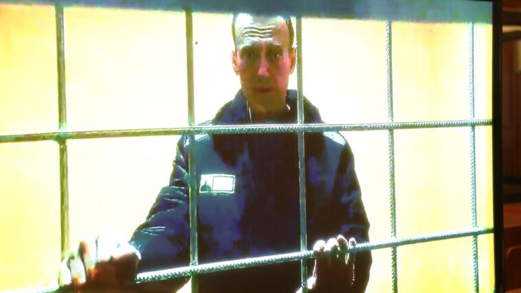 Kiadták Navalnij holttestét az édesanyjának