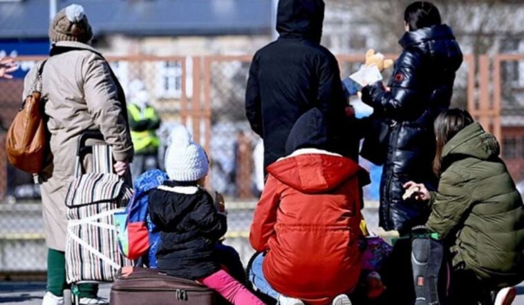 Az UNHCR 42,2 millió dollárt kér a magyarországi ukrán menekültek támogatására