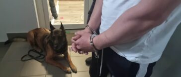 Feladta magát az Europol körözési toplistáján szereplő magyar kábítószer-kereskedő