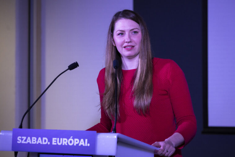 Donáth Anna: Hányingerem van a DK plakátjaitól