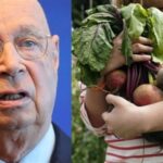 A Világgazdasági Fórum szerint most épp a konyhakertek teszik tönkre a bolygót