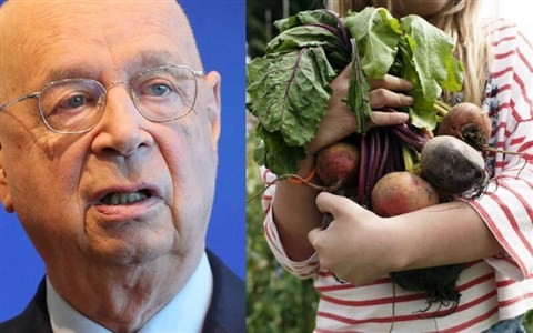 A Világgazdasági Fórum szerint most épp a konyhakertek teszik tönkre a bolygót