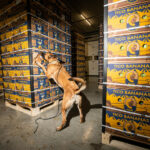 Elérte a 31 milliárd eurót az európai drogpiac kiskereskedelmi értéke