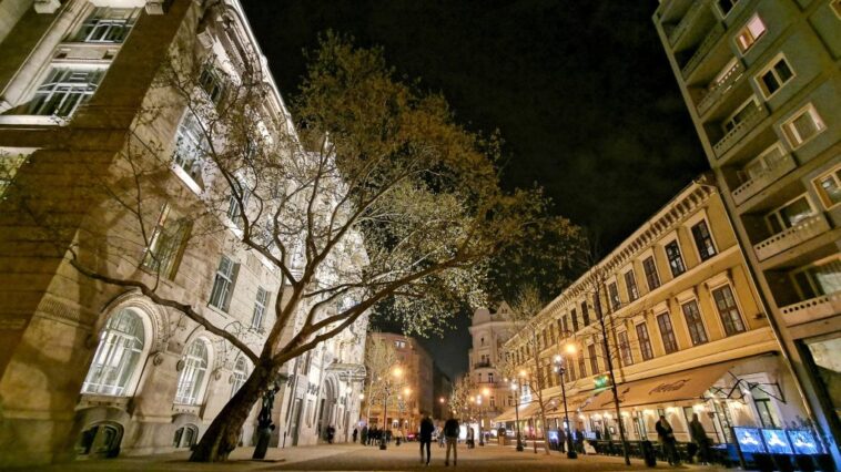 Országos és nemzetközi botrányt válthat ki a Zeneakadémia hallgatóinak elégedetlensége