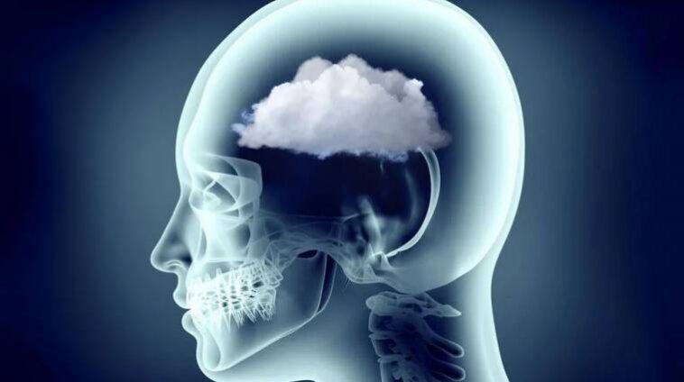 Többfrontos harc az Alzheimer-kór ellen