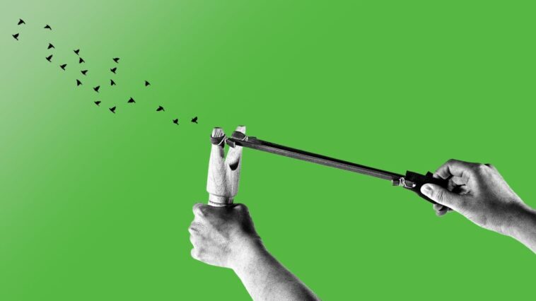 Szörnyű divat hódít a WhatsAppon: kisgyerekek videóra veszik, ahogy állatokat gyilkolnak