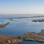 Szenzáció: új halfajt találtak a Tisza-tóban