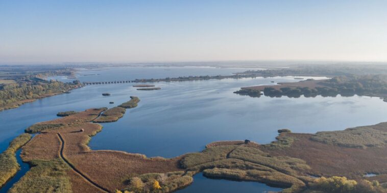 Szenzáció: új halfajt találtak a Tisza-tóban