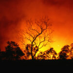 Tovább pusztítanak az erődtüzek a magyarok egyik kedvenc üdülőhelyén