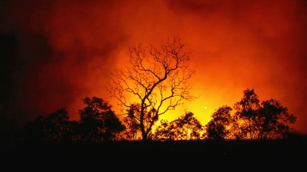 Tovább pusztítanak az erődtüzek a magyarok egyik kedvenc üdülőhelyén