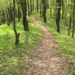 Eltűnt egy idős nő Kárpátalján