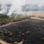 Az erős szél miatt újraéledt a tűz Csönge határában, négyszáz hektárt érint