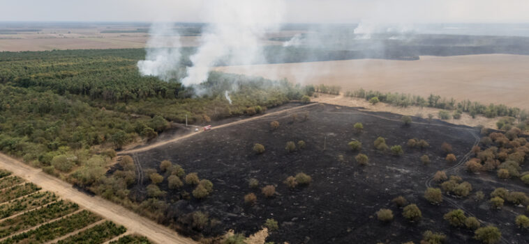Az erős szél miatt újraéledt a tűz Csönge határában, négyszáz hektárt érint