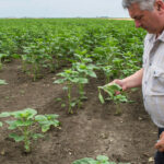 A mezőgazdasági EU-s forrásokat is a jogállamiságtól tenné függővé egy svéd-finn javaslat