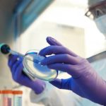 Magyar technológiai áttörés a biotechnológiában