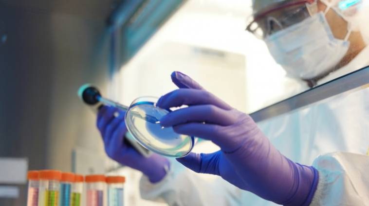 Magyar technológiai áttörés a biotechnológiában