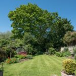 Brutális vízhiány Gödöllőn: a polgármester már a locsolást is beszüntetné