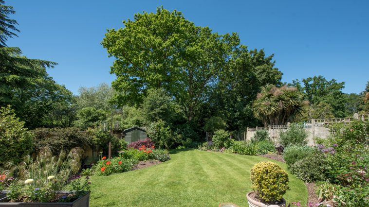 Brutális vízhiány Gödöllőn: a polgármester már a locsolást is beszüntetné