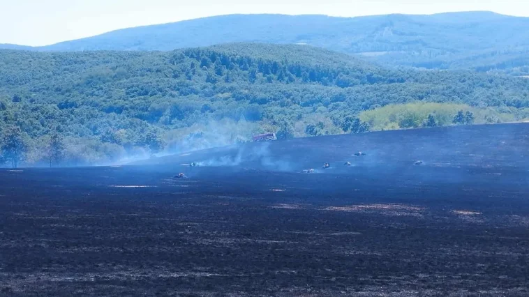 Hiába a rengeteg tűzoltó, nem sikerül megfékezni a nógrádi tűzvészt – videó a helyszínről