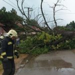 Megbontotta a viharos szél az Országos Széchényi Könyvtár tetejét